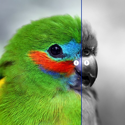 ImageCompare.jpg